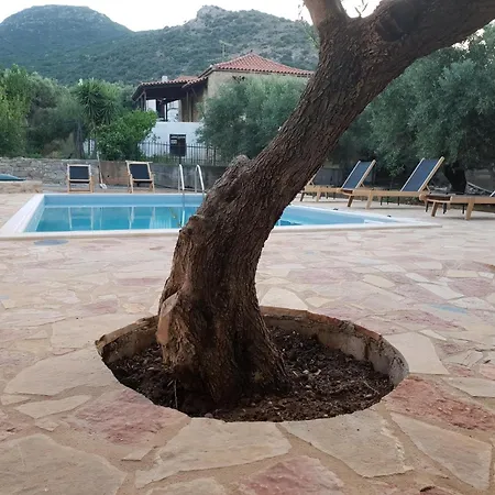 펜션 Wunderschoenes In Agios Stefanos Foutia